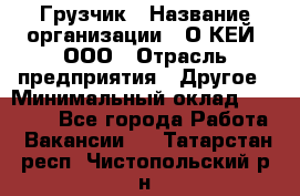 Грузчик › Название организации ­ О’КЕЙ, ООО › Отрасль предприятия ­ Другое › Минимальный оклад ­ 25 533 - Все города Работа » Вакансии   . Татарстан респ.,Чистопольский р-н